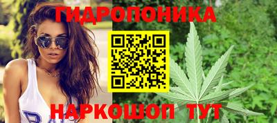 прущие грибы Кимры
