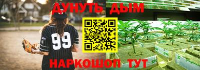не бодяженный Кингисепп