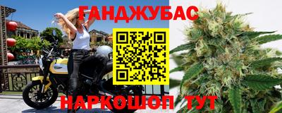 прущие грибы Кимры