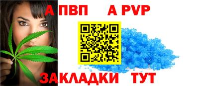 не бодяженный Кингисепп