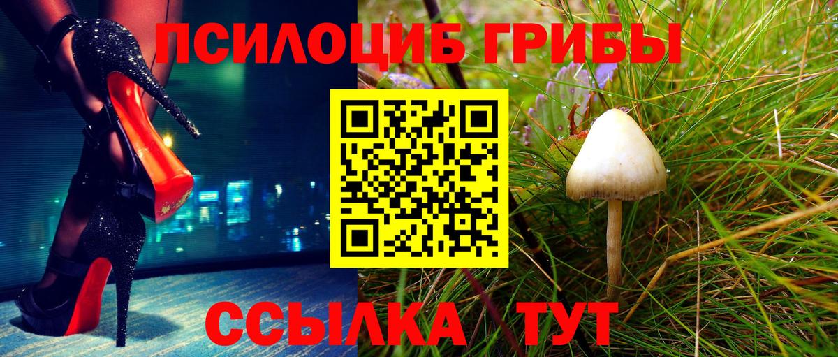 закладки  Галлюциногенные грибы Cubensis  Галлюциногенные грибы Magic Shrooms  Вход с VPN  Кохма 