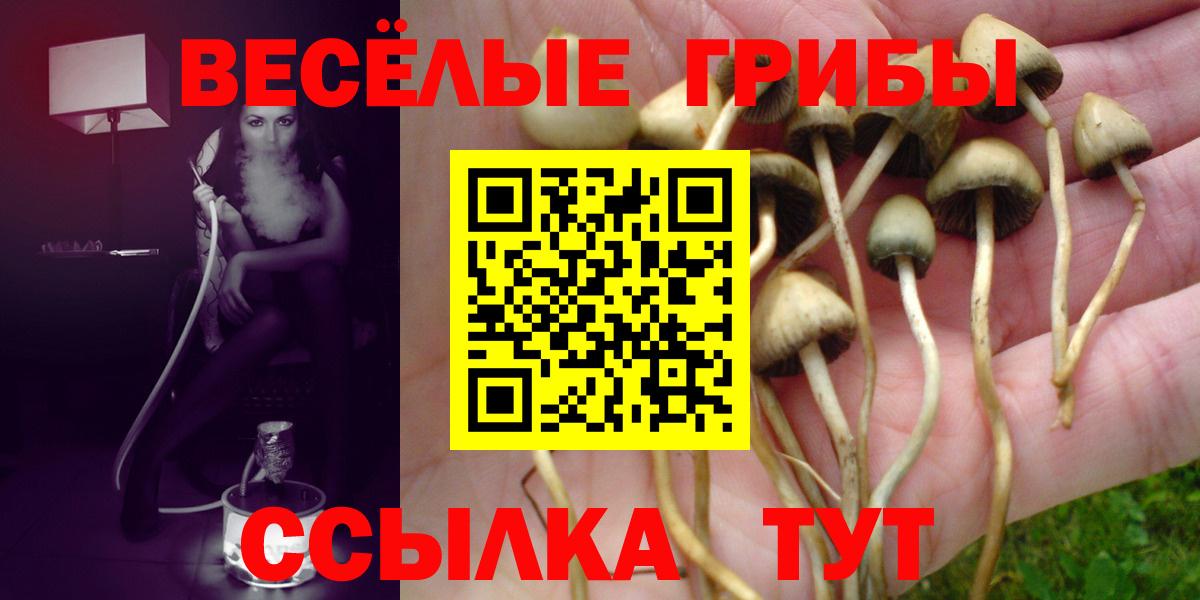 Галлюциногенные грибы MAGIC MUSHROOMS Кохма