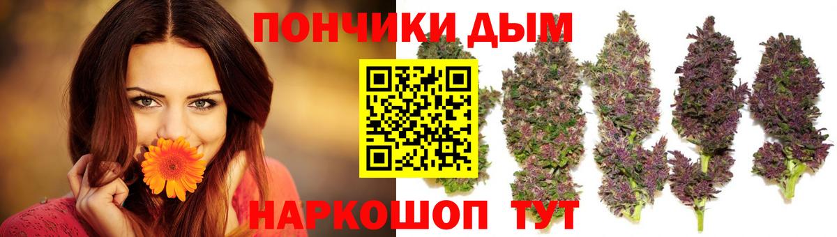 Конопля THC 21%  Бошки Шишки SATIVA & INDICA  Кохма  Вход с VPN 